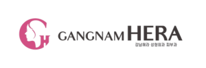 GANGNAM HERA